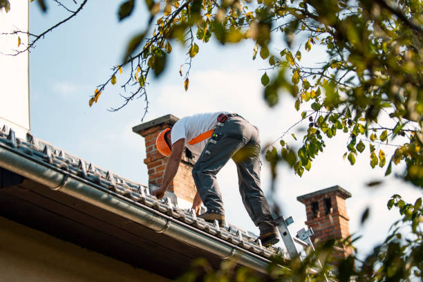 Best Roof Moss and Algae Removal  in Browns Mills, NJ